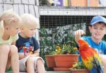 Co ciekawego można robić na Kaszubach? Zoo egzotyczne kaszuby atrakcje kaszubskie dla dzieci